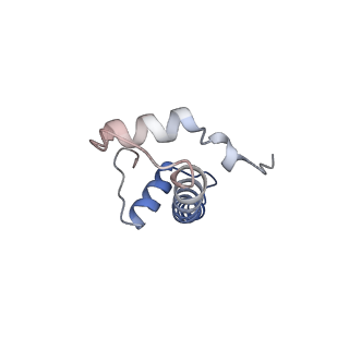 22685_7k60_F_v1-2
Cryo-EM structure of a chromatosome containing human linker histone H1.10