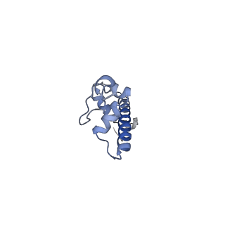 22685_7k60_G_v1-2
Cryo-EM structure of a chromatosome containing human linker histone H1.10