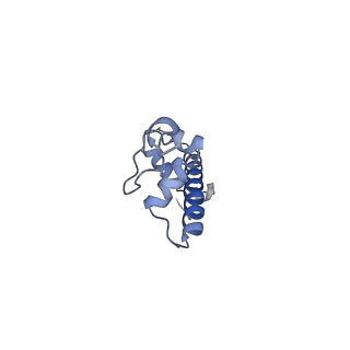 22685_7k60_G_v1-3
Cryo-EM structure of a chromatosome containing human linker histone H1.10