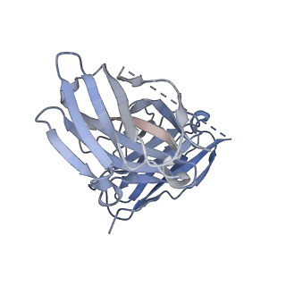 22685_7k60_N_v1-3
Cryo-EM structure of a chromatosome containing human linker histone H1.10