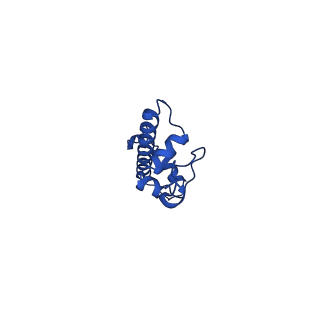 22686_7k61_C_v1-2
Cryo-EM structure of 197bp nucleosome aided by scFv