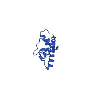 22686_7k61_G_v1-2
Cryo-EM structure of 197bp nucleosome aided by scFv