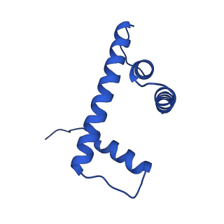 22686_7k61_H_v1-2
Cryo-EM structure of 197bp nucleosome aided by scFv
