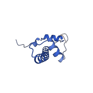 22687_7k63_B_v1-2
Cryo-EM structure of a chromatosome containing chimeric linker histone gH1.10-ncH1.4