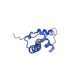 22687_7k63_B_v1-3
Cryo-EM structure of a chromatosome containing chimeric linker histone gH1.10-ncH1.4