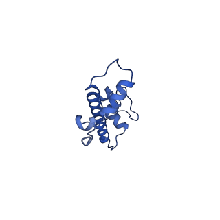 22687_7k63_C_v1-2
Cryo-EM structure of a chromatosome containing chimeric linker histone gH1.10-ncH1.4