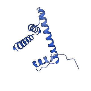 22687_7k63_D_v1-3
Cryo-EM structure of a chromatosome containing chimeric linker histone gH1.10-ncH1.4