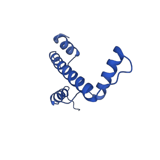 22687_7k63_E_v1-2
Cryo-EM structure of a chromatosome containing chimeric linker histone gH1.10-ncH1.4