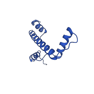 22687_7k63_E_v1-3
Cryo-EM structure of a chromatosome containing chimeric linker histone gH1.10-ncH1.4