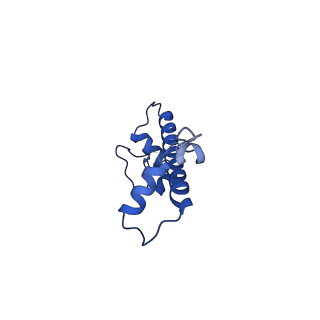 22687_7k63_G_v1-2
Cryo-EM structure of a chromatosome containing chimeric linker histone gH1.10-ncH1.4