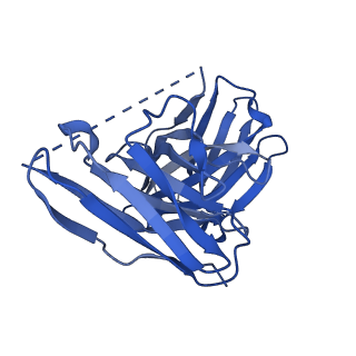 22687_7k63_M_v1-2
Cryo-EM structure of a chromatosome containing chimeric linker histone gH1.10-ncH1.4