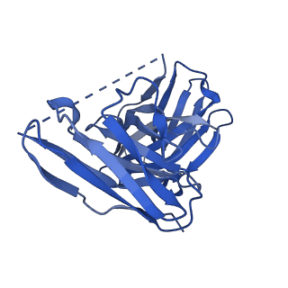 22687_7k63_M_v1-3
Cryo-EM structure of a chromatosome containing chimeric linker histone gH1.10-ncH1.4