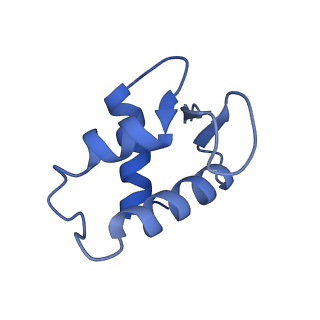 22687_7k63_U_v1-2
Cryo-EM structure of a chromatosome containing chimeric linker histone gH1.10-ncH1.4
