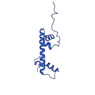 22691_7k6p_C_v1-0
Active state Dot1 bound to the unacetylated H4 nucleosome