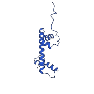 22691_7k6p_C_v1-1
Active state Dot1 bound to the unacetylated H4 nucleosome