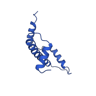 22691_7k6p_E_v1-0
Active state Dot1 bound to the unacetylated H4 nucleosome