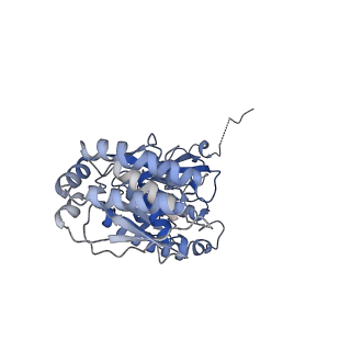 22691_7k6p_K_v1-0
Active state Dot1 bound to the unacetylated H4 nucleosome