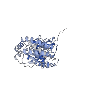 22691_7k6p_K_v1-1
Active state Dot1 bound to the unacetylated H4 nucleosome