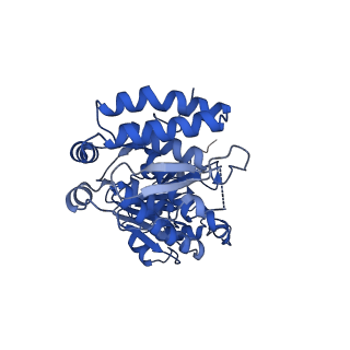 22692_7k6q_K_v1-0
Active state Dot1 bound to the H4K16ac nucleosome