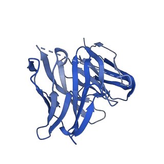 22696_7k78_K_v1-0
antibody and nucleosome complex