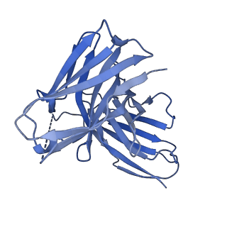 22696_7k78_L_v1-0
antibody and nucleosome complex