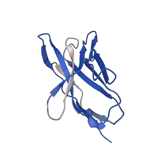 22699_7k7h_H_v1-1
Density-fitted Model Structure of Antibody Variable Domains of TyTx1 in Complex with PltB pentamer of Typhoid Toxin