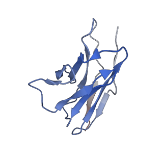 22700_7k7i_L_v1-1
Density-fitted Model Structure of Antibody Variable Domains of TyTx4 in Complex with PltB pentamer of Typhoid Toxin