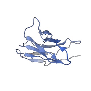 22700_7k7i_N_v1-1
Density-fitted Model Structure of Antibody Variable Domains of TyTx4 in Complex with PltB pentamer of Typhoid Toxin