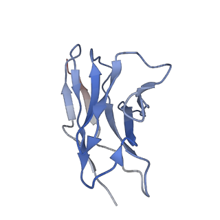 22700_7k7i_Q_v1-1
Density-fitted Model Structure of Antibody Variable Domains of TyTx4 in Complex with PltB pentamer of Typhoid Toxin