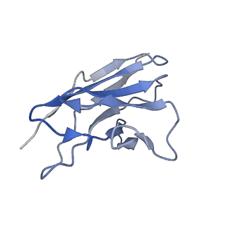22700_7k7i_Y_v1-1
Density-fitted Model Structure of Antibody Variable Domains of TyTx4 in Complex with PltB pentamer of Typhoid Toxin
