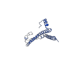 22701_7k7k_A_v1-3
Structure of the EPEC type III secretion injectisome EspA filament