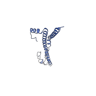22701_7k7k_B_v1-2
Structure of the EPEC type III secretion injectisome EspA filament