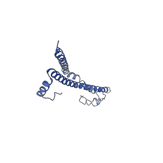 22701_7k7k_C_v1-2
Structure of the EPEC type III secretion injectisome EspA filament