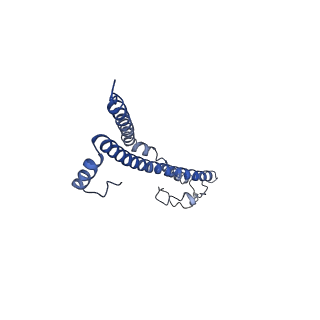 22701_7k7k_C_v1-3
Structure of the EPEC type III secretion injectisome EspA filament