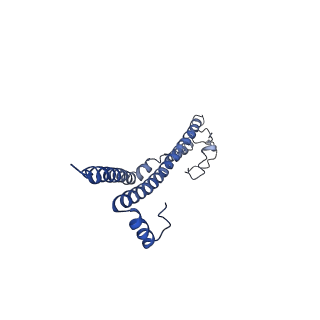 22701_7k7k_D_v1-3
Structure of the EPEC type III secretion injectisome EspA filament