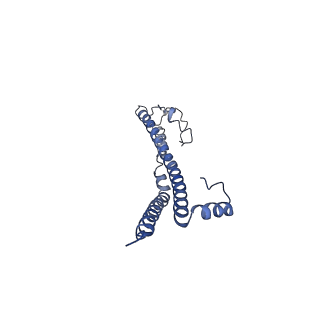 22701_7k7k_E_v1-3
Structure of the EPEC type III secretion injectisome EspA filament