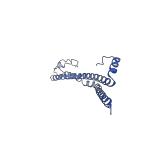 22701_7k7k_F_v1-2
Structure of the EPEC type III secretion injectisome EspA filament