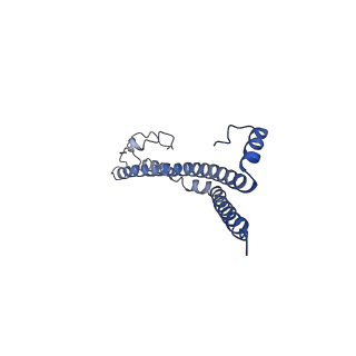 22701_7k7k_F_v1-3
Structure of the EPEC type III secretion injectisome EspA filament