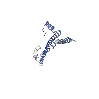 22701_7k7k_G_v1-3
Structure of the EPEC type III secretion injectisome EspA filament