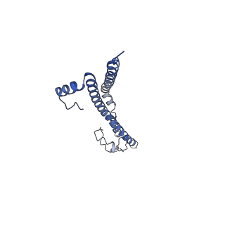 22701_7k7k_H_v1-3
Structure of the EPEC type III secretion injectisome EspA filament