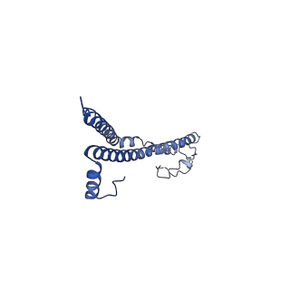 22701_7k7k_I_v1-3
Structure of the EPEC type III secretion injectisome EspA filament