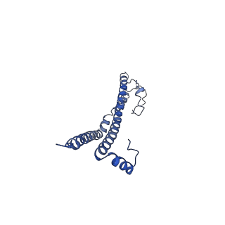 22701_7k7k_J_v1-2
Structure of the EPEC type III secretion injectisome EspA filament