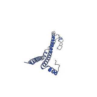 22701_7k7k_J_v1-3
Structure of the EPEC type III secretion injectisome EspA filament