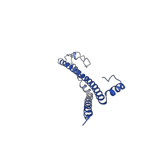 22701_7k7k_K_v1-3
Structure of the EPEC type III secretion injectisome EspA filament