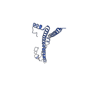 22701_7k7k_M_v1-2
Structure of the EPEC type III secretion injectisome EspA filament