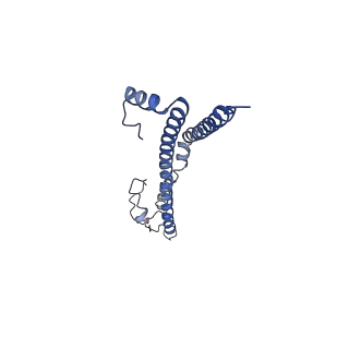 22701_7k7k_M_v1-3
Structure of the EPEC type III secretion injectisome EspA filament