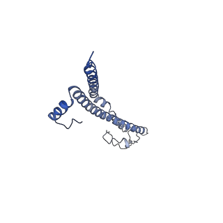 22701_7k7k_N_v1-3
Structure of the EPEC type III secretion injectisome EspA filament