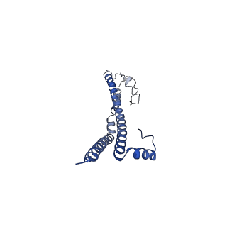 22701_7k7k_P_v1-2
Structure of the EPEC type III secretion injectisome EspA filament