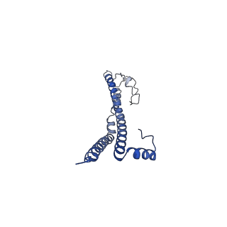 22701_7k7k_P_v1-3
Structure of the EPEC type III secretion injectisome EspA filament