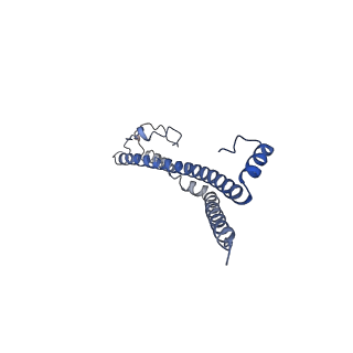 22701_7k7k_Q_v1-2
Structure of the EPEC type III secretion injectisome EspA filament